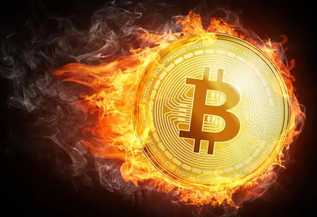 bitcoin bitcoin