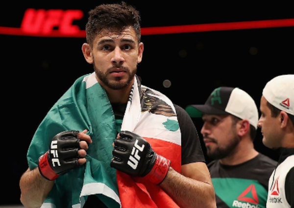ufc-prognósticos
