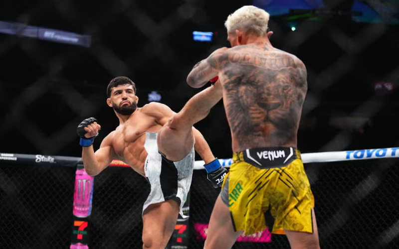 estilos-e-t&eacute;cnicas-de-luta-do-mma